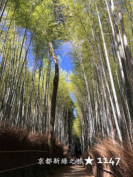 201805京都新綠之旅