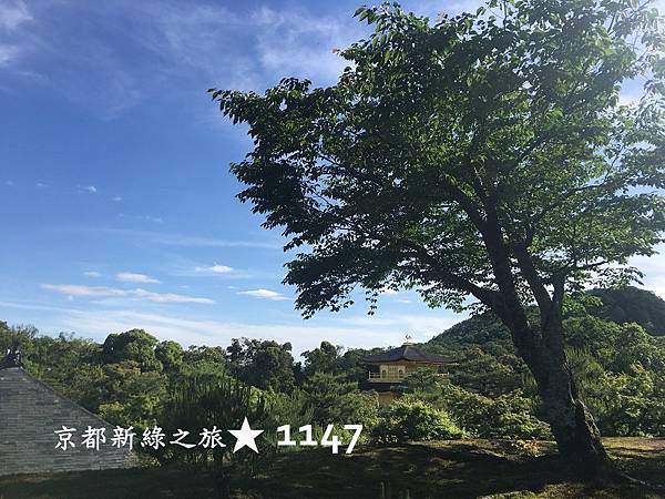 201805京都新綠之旅