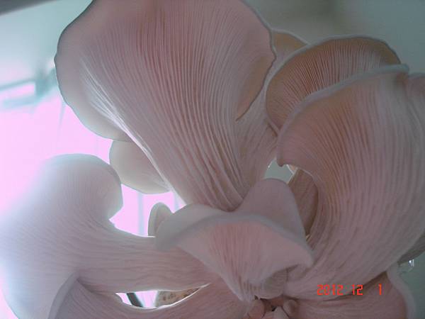 DSC04760 DSC04760