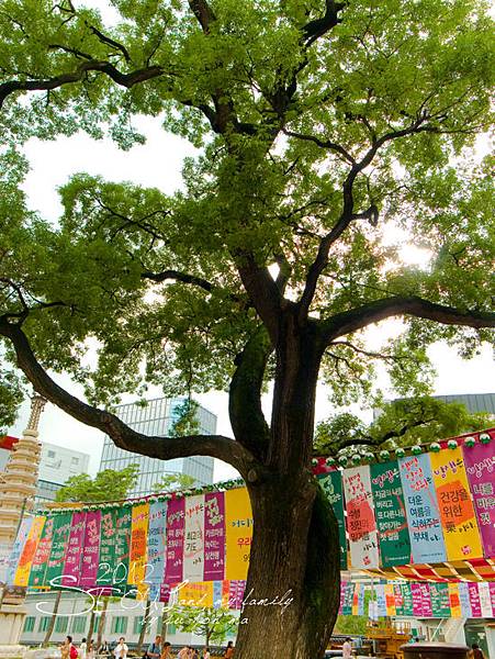 2012_8_25北村-貓頭鷹博物館-曹溪寺47