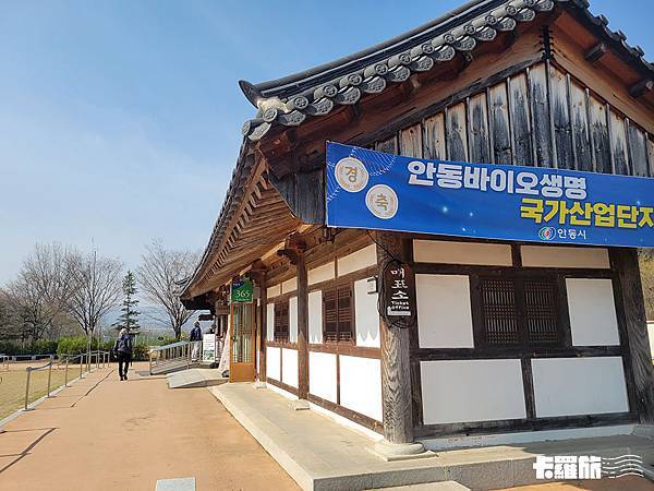 慶北自由行｜安東一日遊｜吃燉雞喝燒酌．漫步河回村