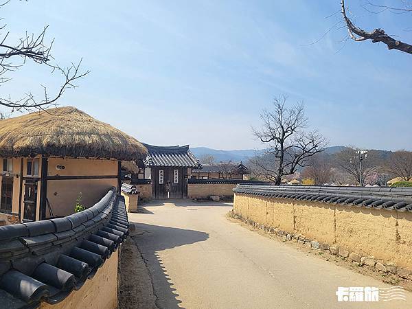 慶北自由行｜安東一日遊｜吃燉雞喝燒酌．漫步河回村