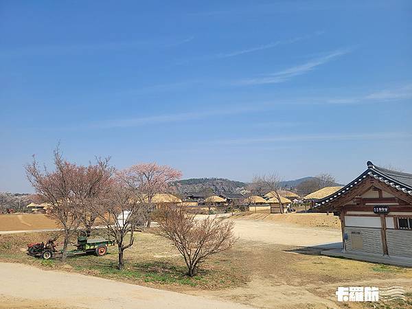 慶北自由行｜安東一日遊｜吃燉雞喝燒酌．漫步河回村