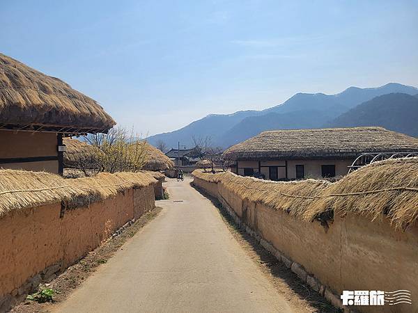 慶北自由行｜安東一日遊｜吃燉雞喝燒酌．漫步河回村