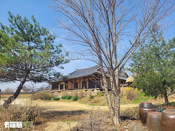 慶北自由行｜安東一日遊｜吃燉雞喝燒酌．漫步河回村