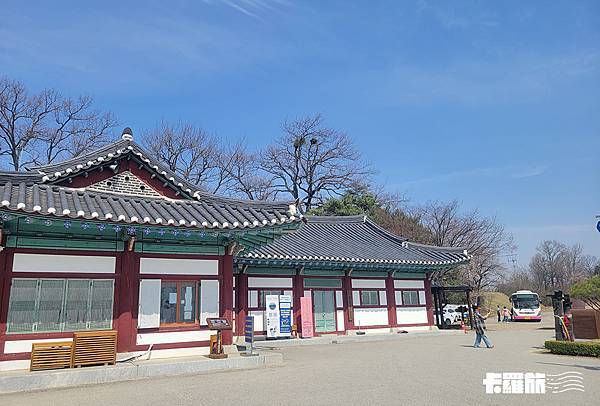 慶北自由行｜安東一日遊｜吃燉雞喝燒酌．漫步河回村