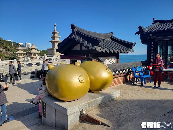 釜山一日遊｜Creatrip｜海東龍宮寺、青沙浦海岸列車、甘