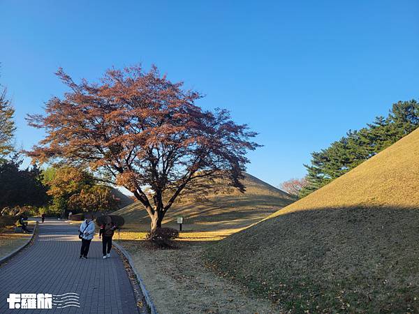 韓國自由行｜釜慶五日遊｜自助玩雙城．釜山慶州五日跨區行程分享