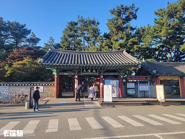 韓國自由行｜釜慶五日遊｜自助玩雙城．釜山慶州五日跨區行程分享