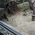 Zoo (5)