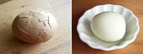egg-0.jpg