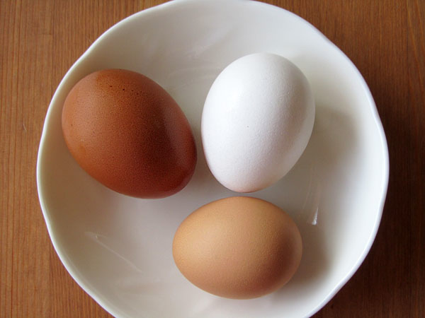 egg-3-1.jpg