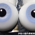 EYE009.jpg