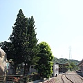 000IMG_5024.JPG