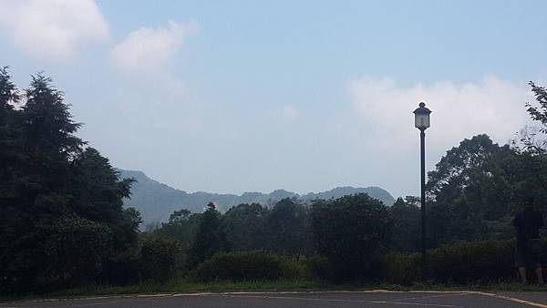 東眼山7 東眼山7