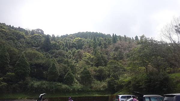 東眼山4 東眼山4