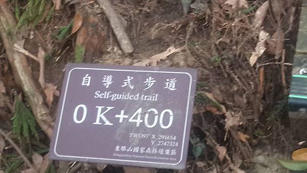 東眼山10 東眼山10