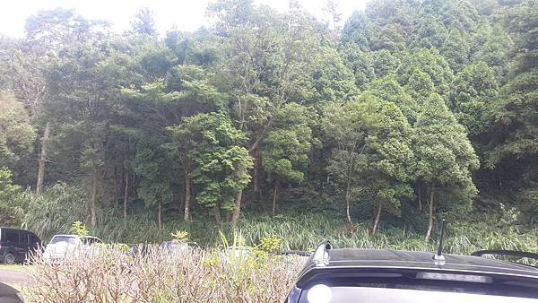 東眼山2 東眼山2