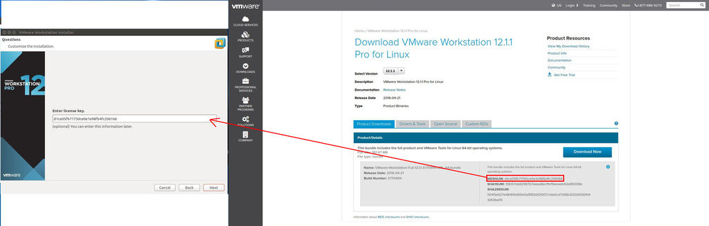 vmware11 vmware11