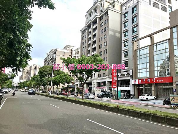  高鐵黃金特區 文興路店面-蘇小儒