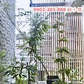 高鐵特區典雅日式電梯豪宅-蘇小儒