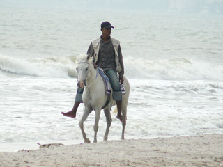 沙灘兜售騎馬