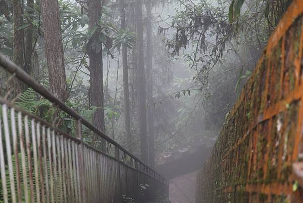 雲南老山剪影