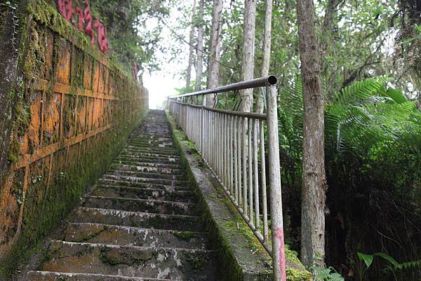 雲南老山剪影