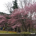 DSC01992