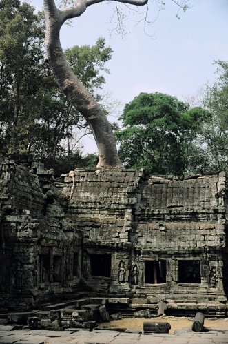 吳哥城 柬埔寨 Angkor Cambodia 