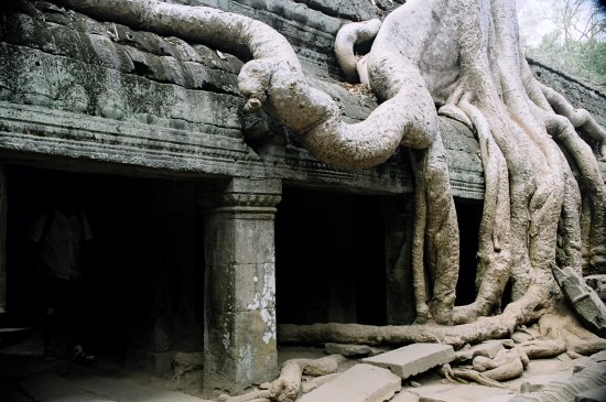 吳哥城 柬埔寨 Angkor Cambodia 