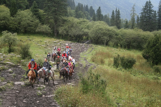 02  羞澀四姑娘  長坪溝（川西-2  -- Sichuan China）