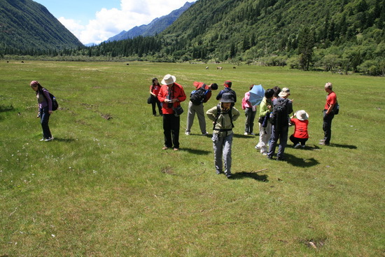 04  東方阿爾卑斯山  四姑娘雙橋溝（川西-4 -- Sichuan China）