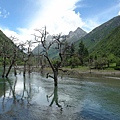 04  東方阿爾卑斯山  四姑娘雙橋溝（川西-4 -- Sichuan China）