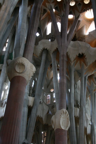 12 聖家堂 （La Sagrada Familia） spain
