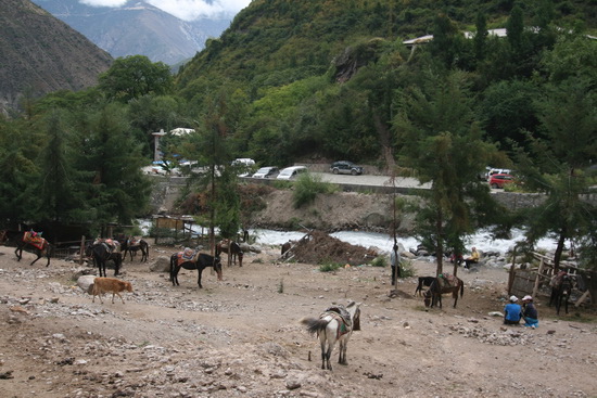 13 明永冰川  梅里雪山 Mt. Meili  YunNan