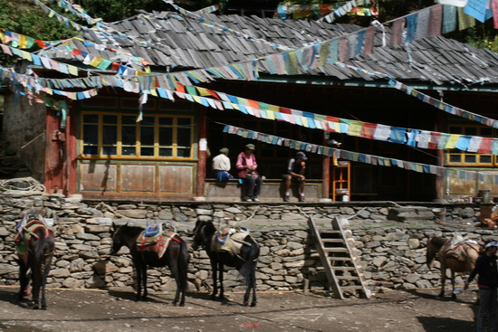 13 明永冰川  梅里雪山 Mt. Meili  YunNan