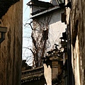 03-IMG_0545