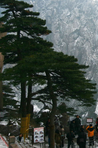 05 黃山初雪天都峰  中國大陸