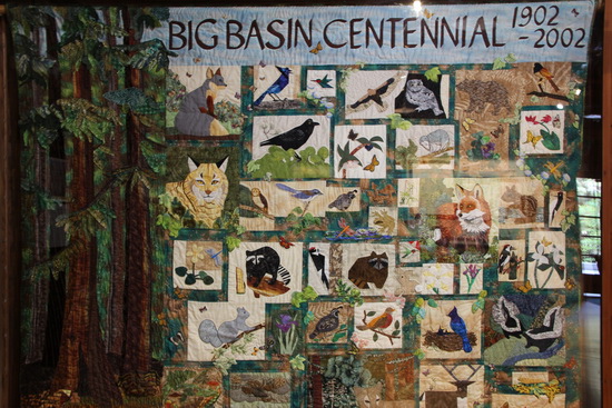 02	San Jose 聖荷西 Big Basin Redwood State Park 美西