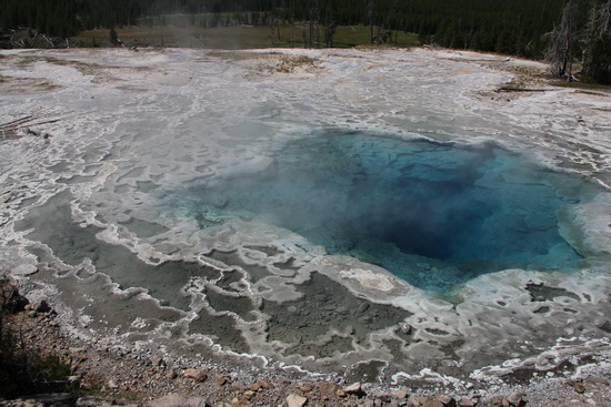 24-IMG_2432-artemisia geyser