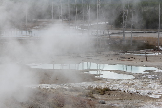 09 Norris Geyser Basin （黃石公園）yellowstone