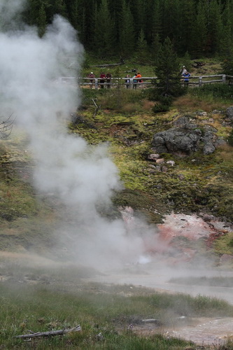 09	Norris Geyser Basin （黃石公園）yellowstone