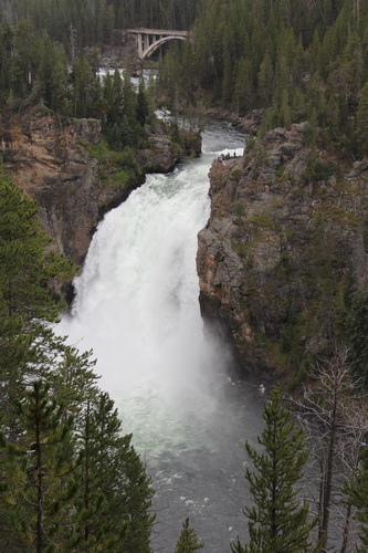 10  Grand Canyon （黃石公園）