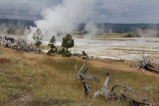 11 Yellowstone to Grand Teton （南下大提頓國家公園）