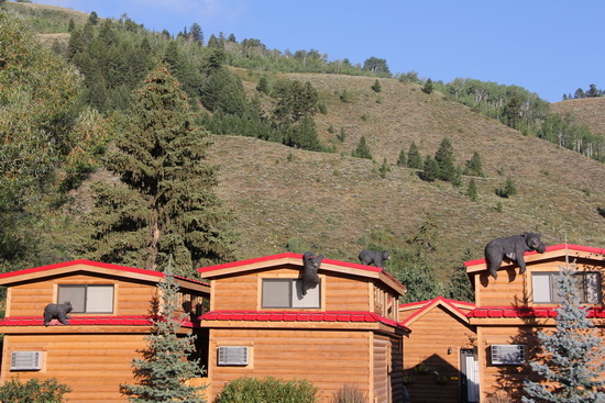 12 Jackson Hole Resort （大提頓國家公園）