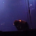 Hurts - Evenlyn (Live at Taipei, Taiwan May 13, 2011)[22-40-29].JPG