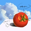 0601-番茄