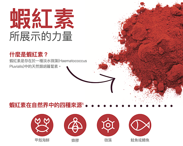 截圖 2021-08-24 下午7.35.43 截圖 2021-08-24 下午7.35.43