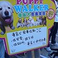 發票或零錢  幫助導盲犬上學.JPG